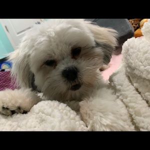 Meet your Posher, Leah